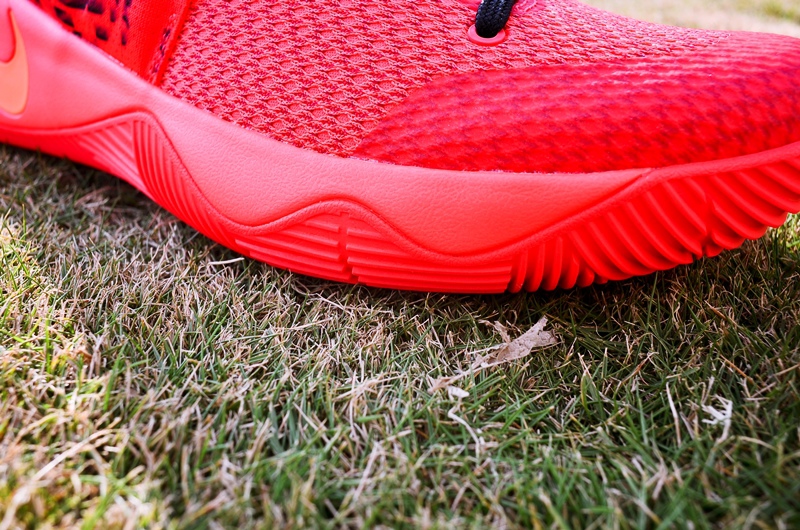 DSC_5336.jpg DSC_5336.jpg