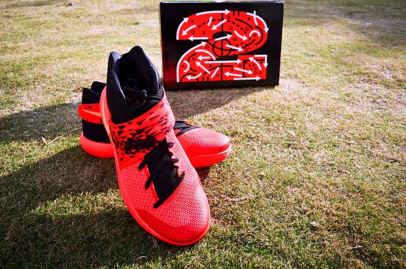 DSC_5343.jpg DSC_5343.jpg