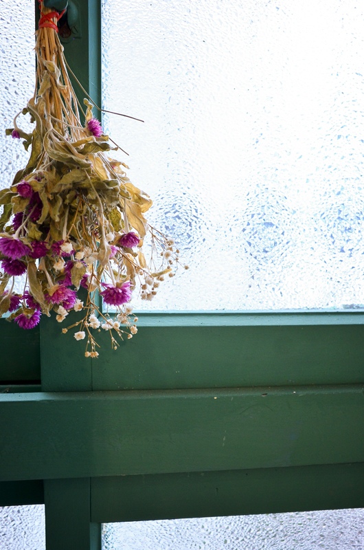 DSC_5764.jpg DSC_5764.jpg