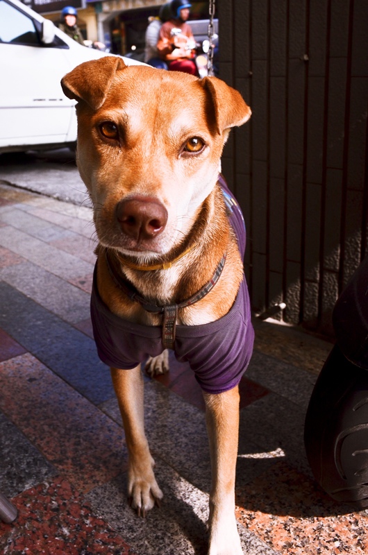 DSC_4918.jpg DSC_4918.jpg