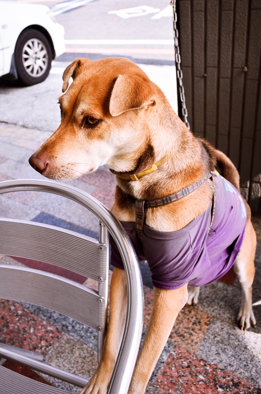 DSC_4920.jpg DSC_4920.jpg