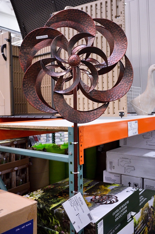 DSC_6532.jpg DSC_6532.jpg