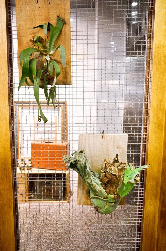 DSC_6831.jpg DSC_6831.jpg