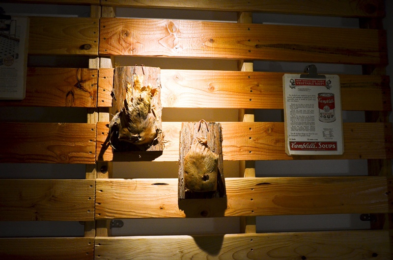 DSC_6814.jpg DSC_6814.jpg