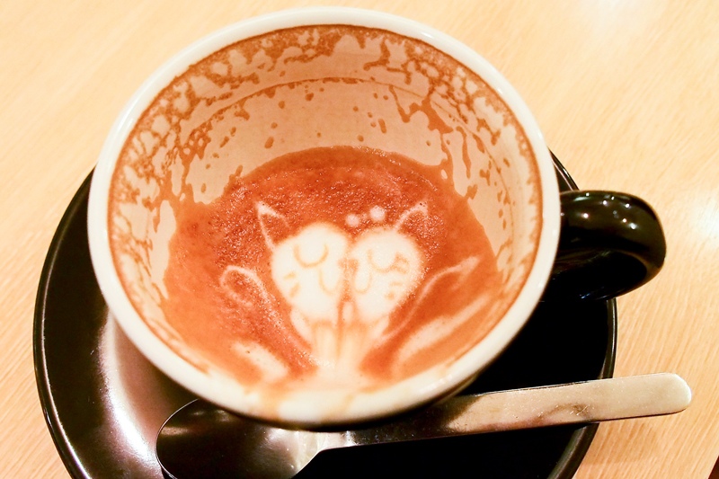 P4102592.jpg P4102592.jpg