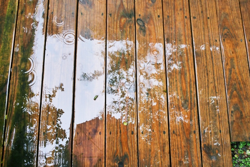 P1080134.jpg P1080134.jpg