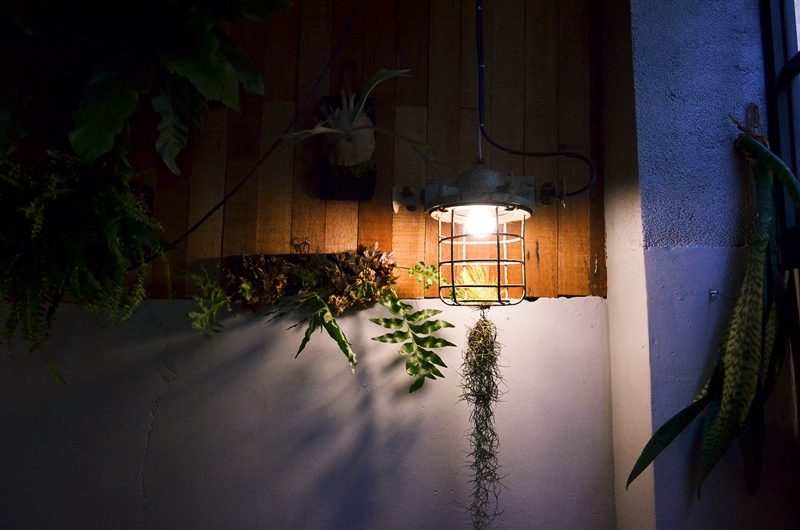 DSC_7976.jpg DSC_7976.jpg