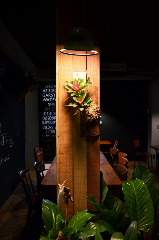 DSC_8001.jpg DSC_8001.jpg