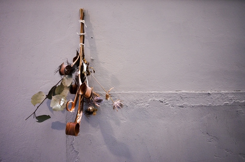 DSC_8044.jpg DSC_8044.jpg