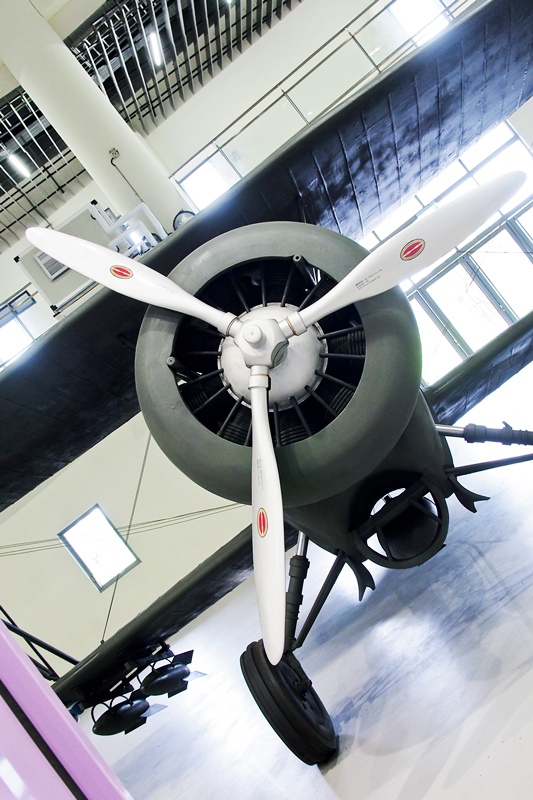 P6110315.jpg P6110315.jpg