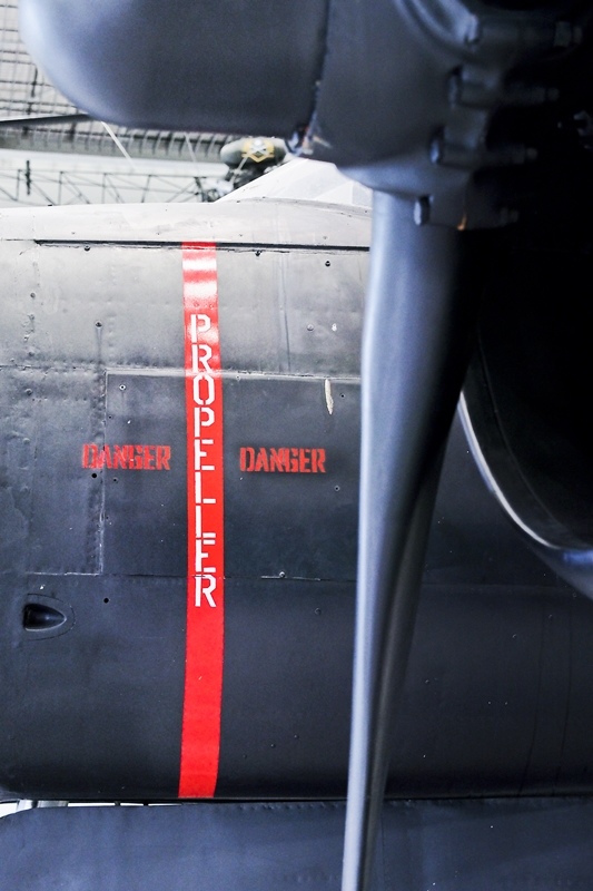 P6110339.jpg P6110339.jpg