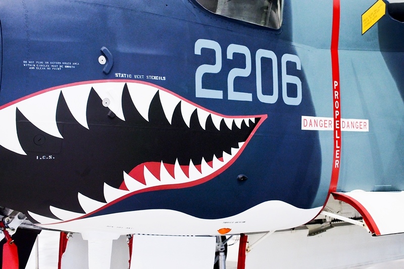 P6110299.jpg P6110299.jpg