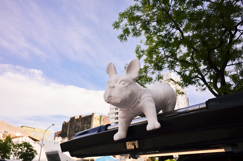 DSC_9824.jpg DSC_9824.jpg