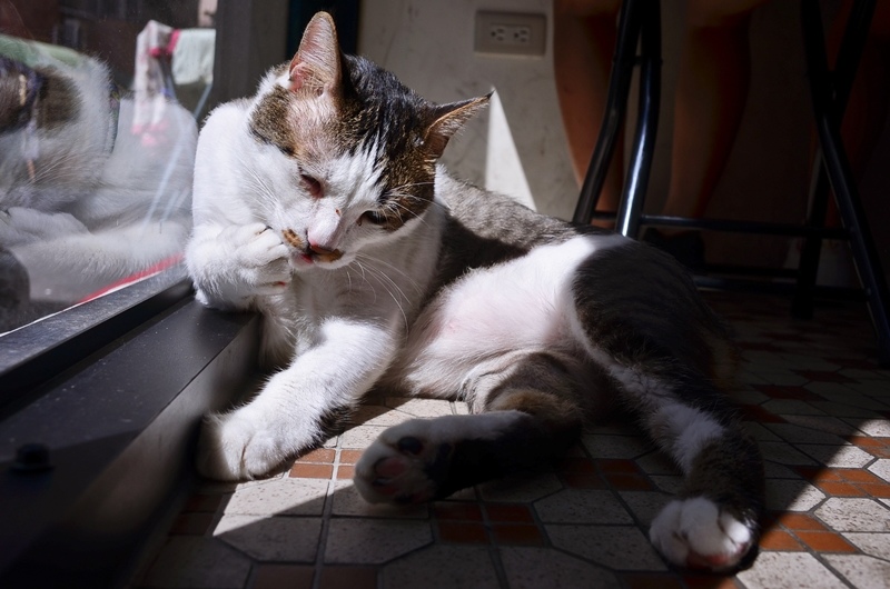 DSC_9850.jpg DSC_9850.jpg