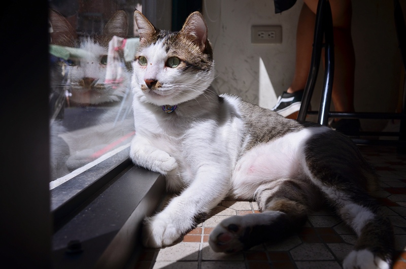 DSC_9853.jpg DSC_9853.jpg