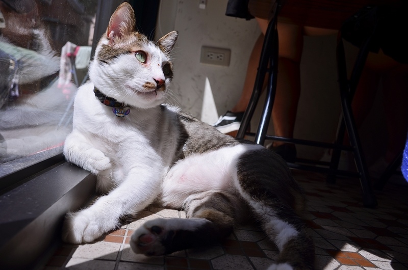 DSC_9851.jpg DSC_9851.jpg