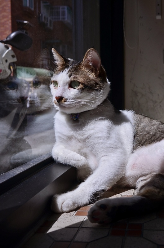 DSC_9838.jpg DSC_9838.jpg