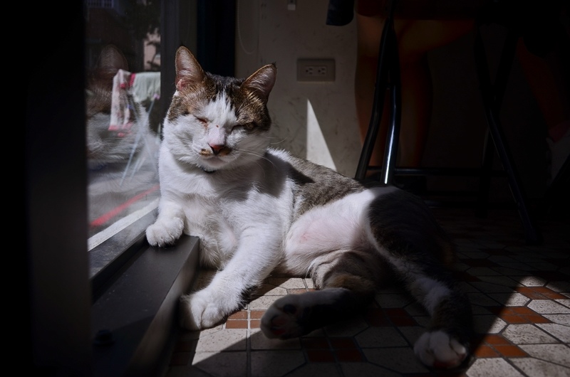 DSC_9846.jpg DSC_9846.jpg