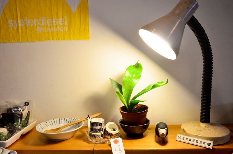 DSC_9971.jpg DSC_9971.jpg