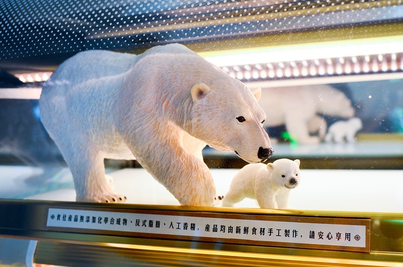 DSC_9941.jpg DSC_9941.jpg