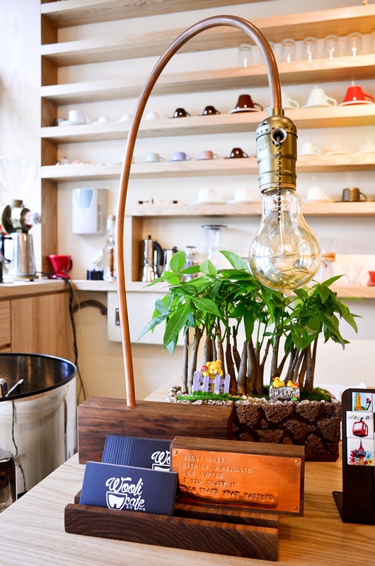 DSC_0374.jpg DSC_0374.jpg