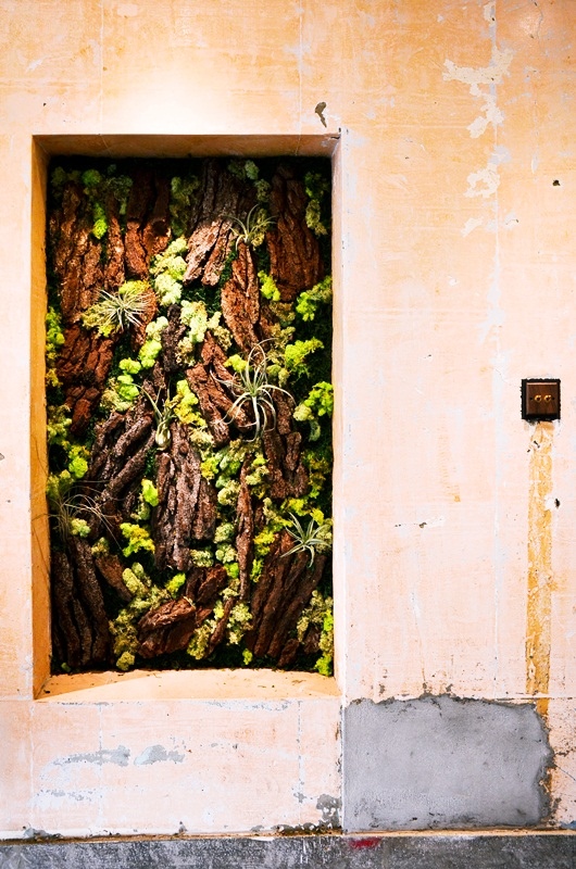 DSC_0484.jpg DSC_0484.jpg