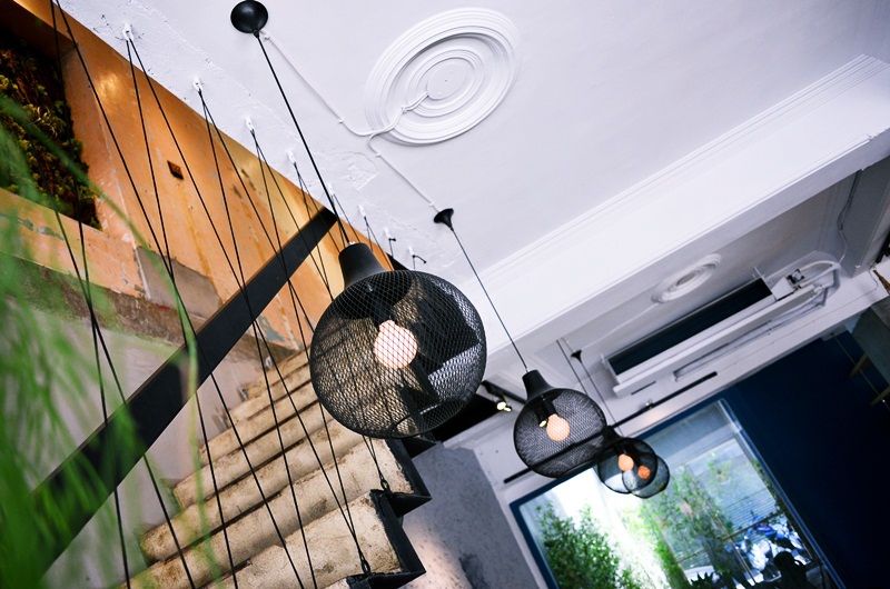 DSC_0477.jpg DSC_0477.jpg