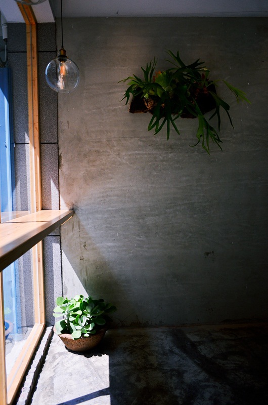 DSC_0517.jpg DSC_0517.jpg