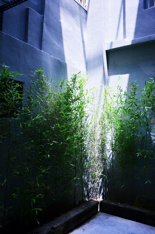 DSC_0471.jpg DSC_0471.jpg