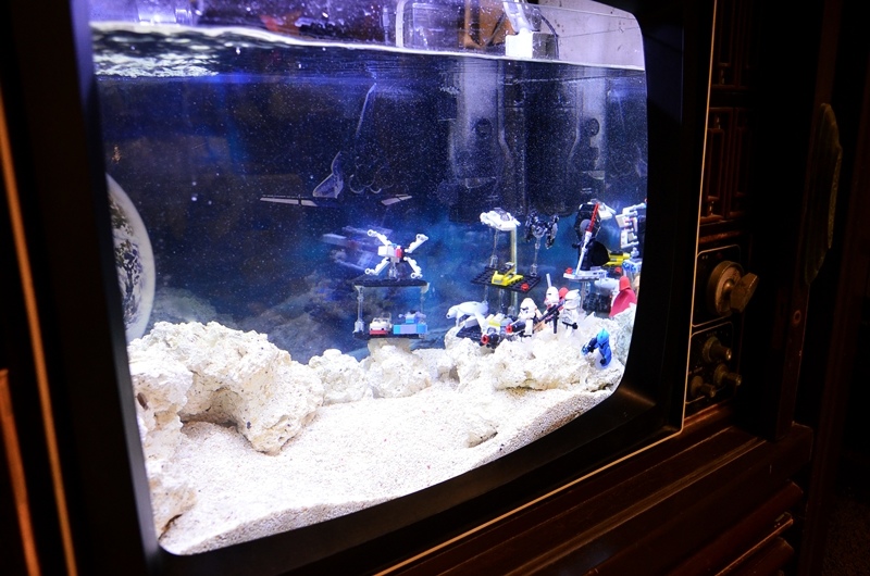 DSC_8536.jpg DSC_8536.jpg