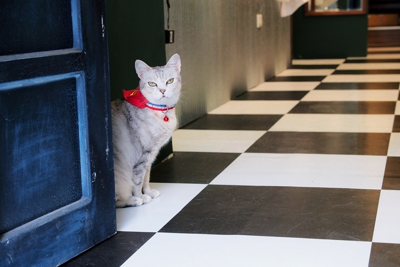 P7100456.jpg P7100456.jpg