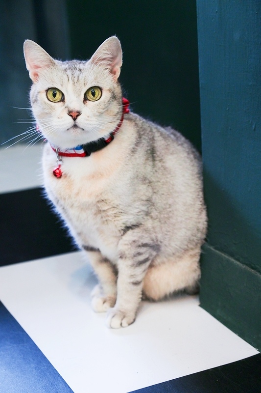 P7100461.jpg P7100461.jpg