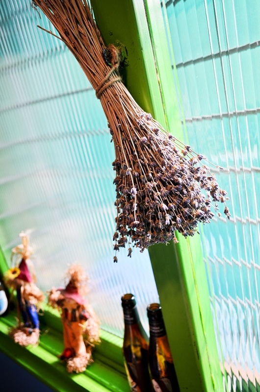 DSC_9644.jpg DSC_9644.jpg