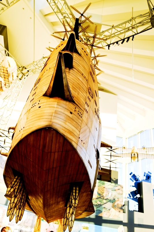 DSCF8435.jpg DSCF8435.jpg