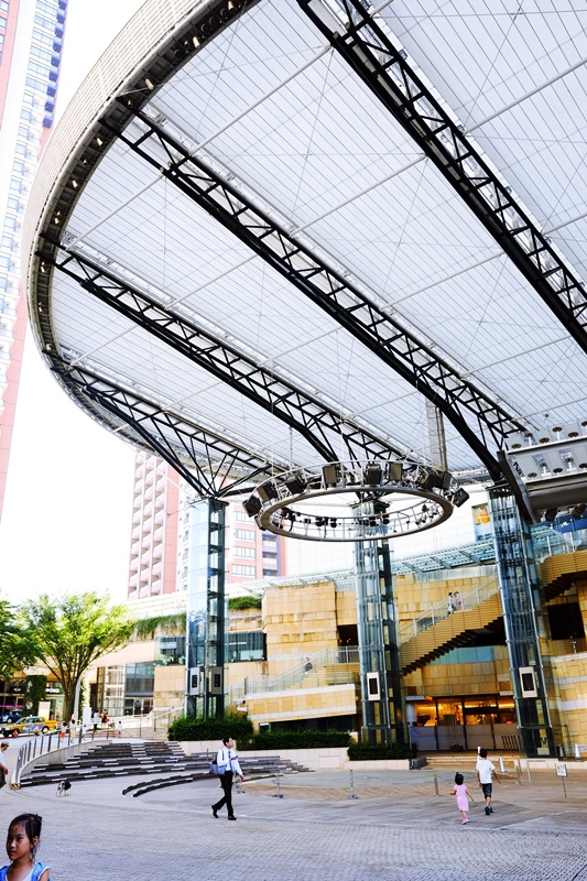 DSCF8359.jpg DSCF8359.jpg