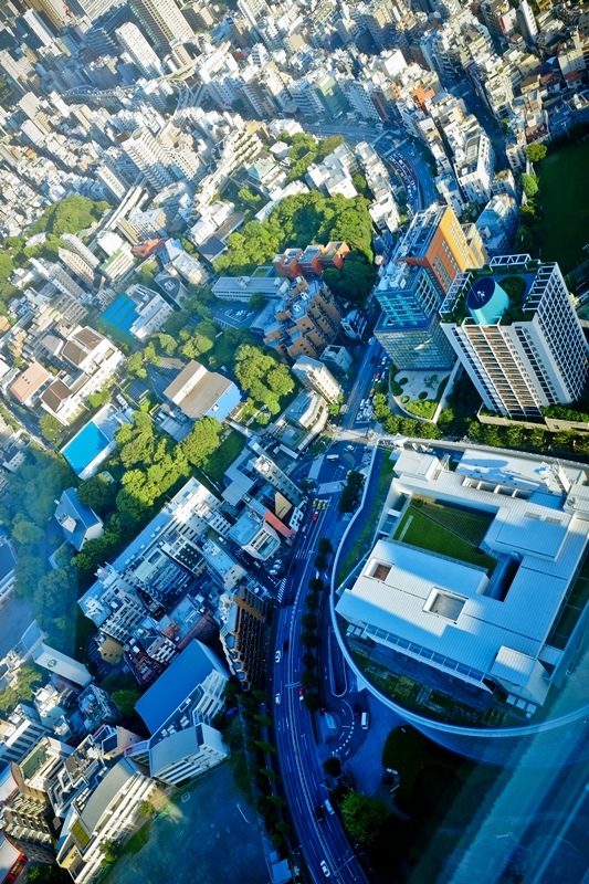 DSCF8388.jpg DSCF8388.jpg