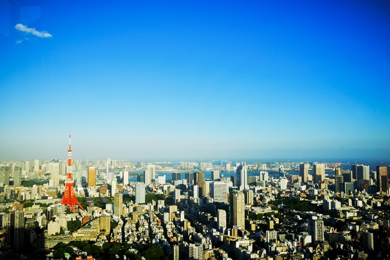 DSCF8389.jpg DSCF8389.jpg