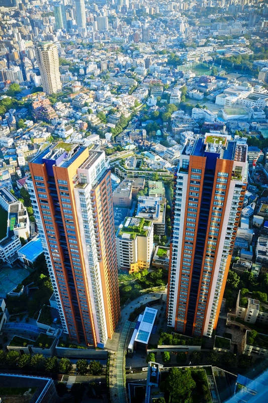 DSCF8395.jpg DSCF8395.jpg