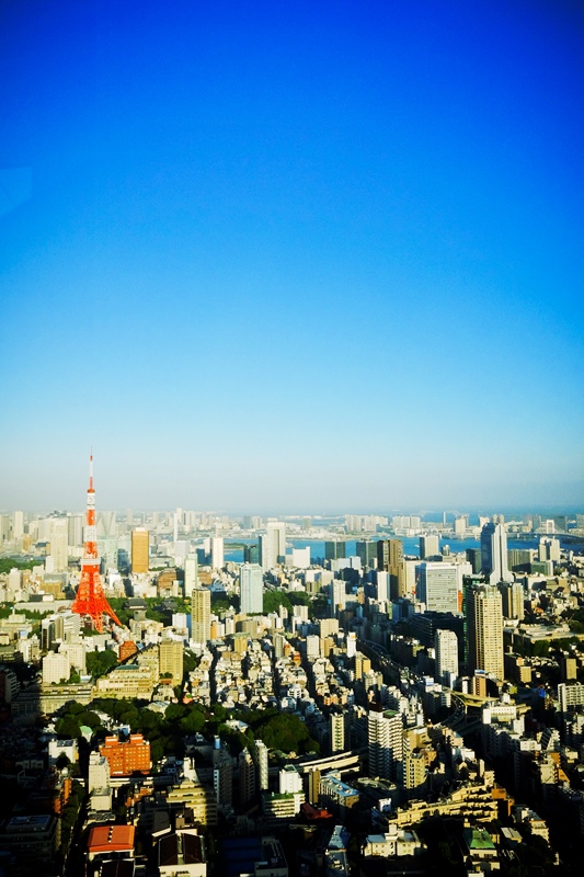 DSCF8394.jpg DSCF8394.jpg