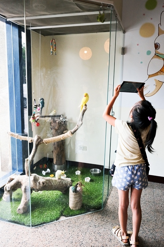 DSCF0449.jpg DSCF0449.jpg