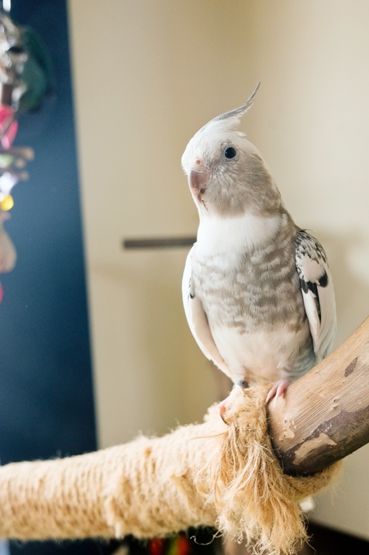 DSCF0467.jpg DSCF0467.jpg