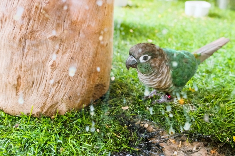 DSCF0482.jpg DSCF0482.jpg