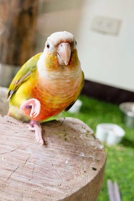 DSCF0484.jpg DSCF0484.jpg