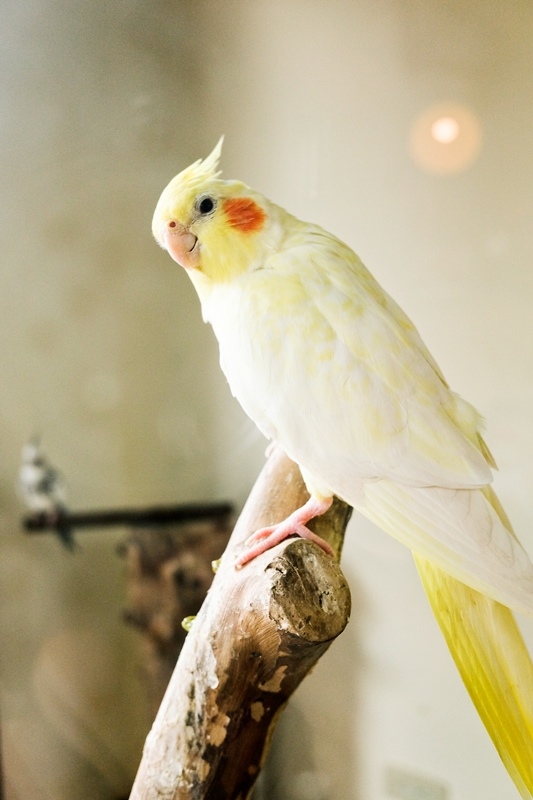 DSCF0490.jpg DSCF0490.jpg