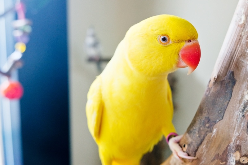 DSCF0494.jpg DSCF0494.jpg