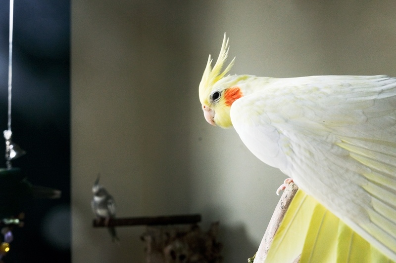 DSCF0500.jpg DSCF0500.jpg