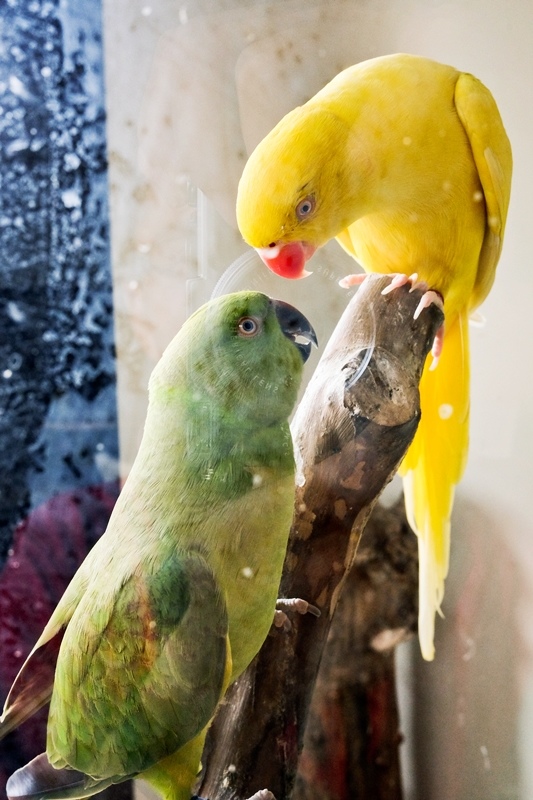 DSCF0512.jpg DSCF0512.jpg