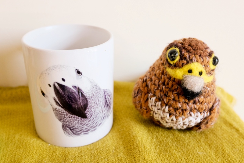 DSCF0525.jpg DSCF0525.jpg