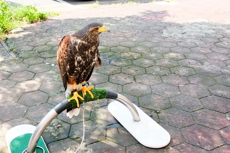 DSCF0526.jpg DSCF0526.jpg