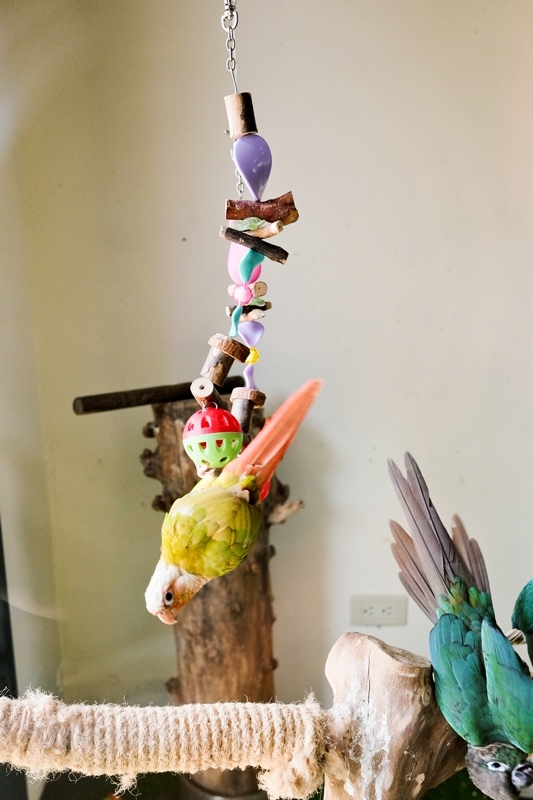 DSCF0532.jpg DSCF0532.jpg